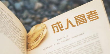 合肥市2021正規考取挖掘機